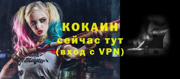 шишки Богородицк