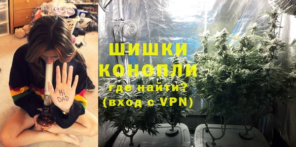 шишки Богородицк