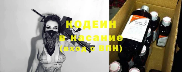 шишки Богородицк