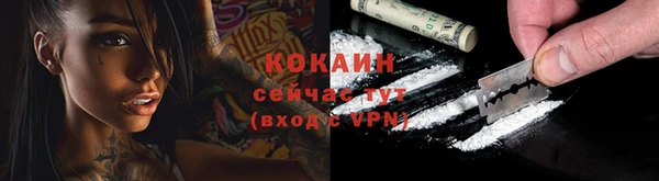 ECSTASY Богородск