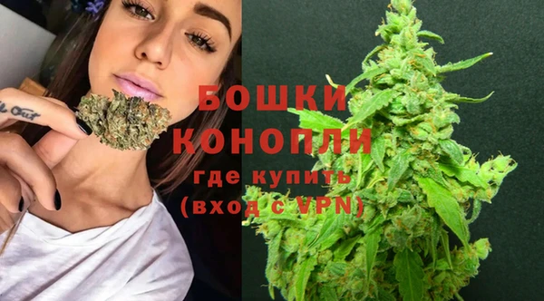 ECSTASY Богородск