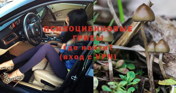 шишки Богородицк