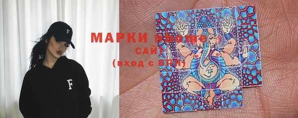 шишки Богородицк