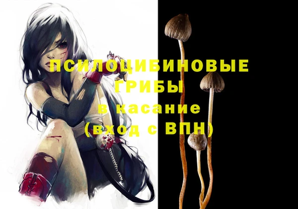 ECSTASY Богородск